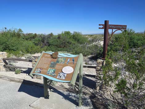 Bighorn Trail