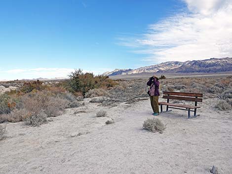 Birdsong Trail 