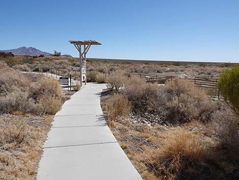 Jackrabbit Loop Trail