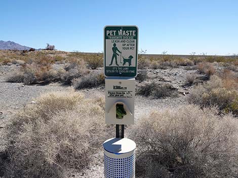 Jackrabbit Loop Trail