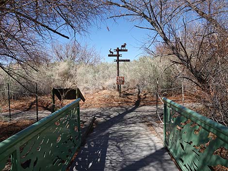 Jackrabbit Loop Trail