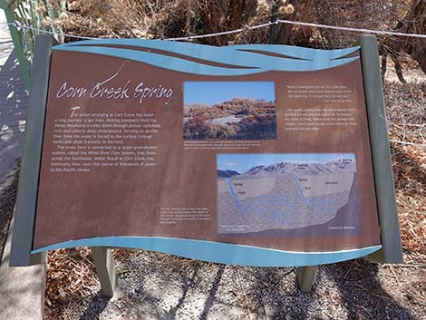 Jackrabbit Loop Trail