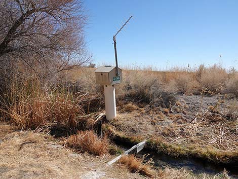 Jackrabbit Loop Trail