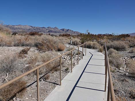 Jackrabbit Loop Trail