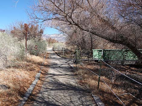 Jackrabbit Loop Trail