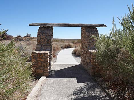 Jackrabbit Loop Trail