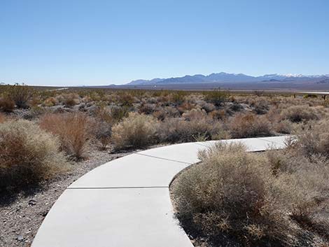 Jackrabbit Loop Trail