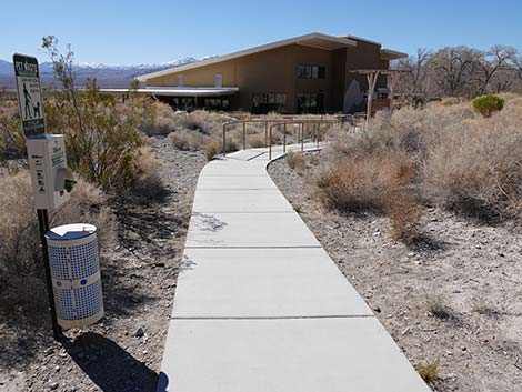 Jackrabbit Loop Trail