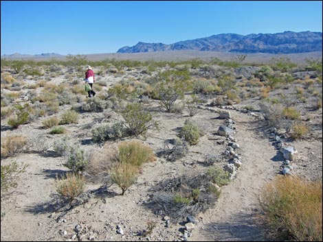 Corn Creek ADA Loop Trail