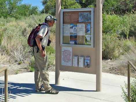 Bighorn Trail