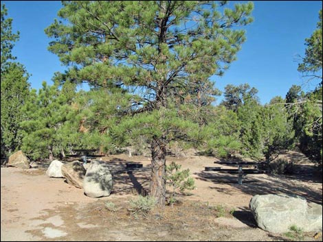 Desert Pass Campground