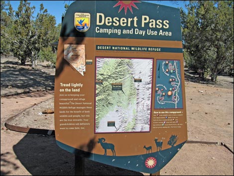 Mormon Pass Campground