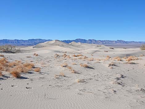 Desert Dry Lake Dunes