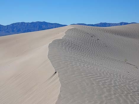 Desert Dry Lake Dunes