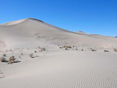 Desert Dry Lake Dunes