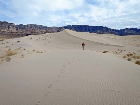 Desert Dry Lake Dunes