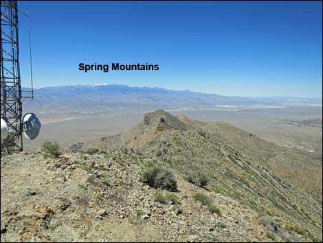 Gass Peak Summit