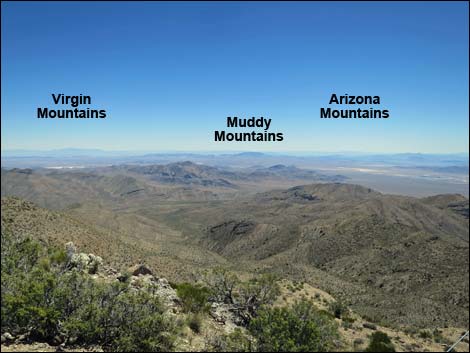 Gass Peak Summit