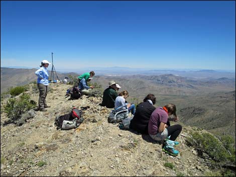 Gass Peak Summit