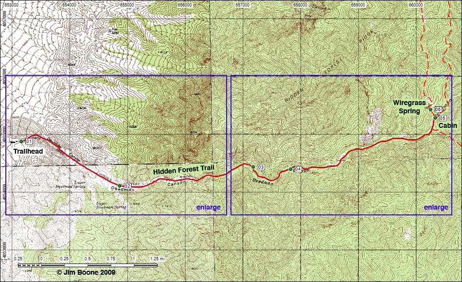 Hidden Forest Route Map Overview