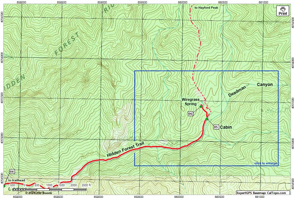 Hidden Forest Route Map East Section