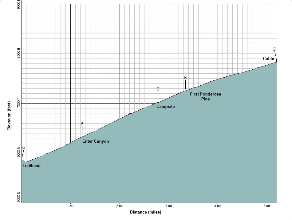 Hidden Forest Elevation Profile