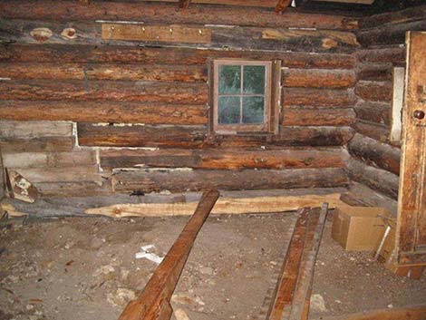 Hidden Forest Cabin Restoration