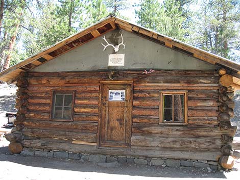 Hidden Forest Cabin