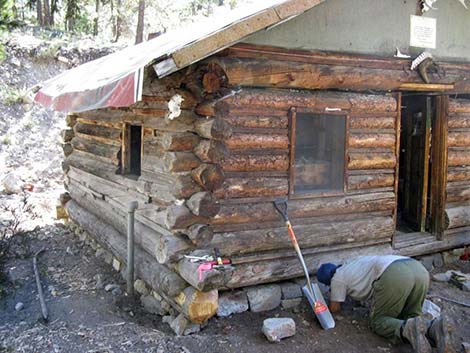 Hidden Forest Cabin