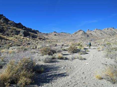 Joe May Canyon Guzzler