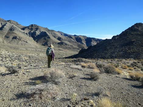 Desert National Wildlife Range