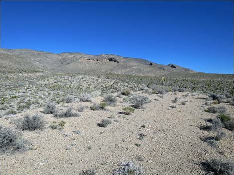 Long Canyon