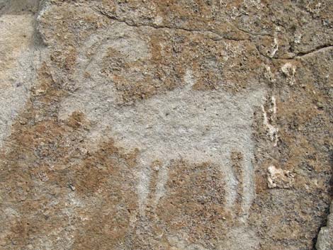 Petroglyphs