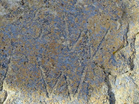 Petroglyphs