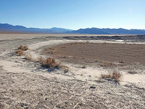 Desert Dry Lake Corral