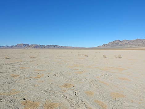 Desert Dry Lake Corral