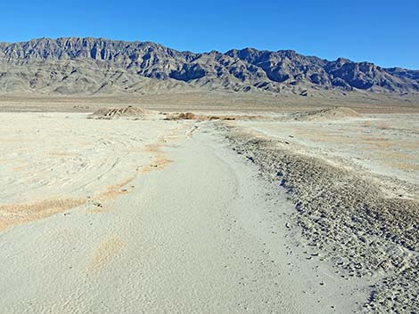 Desert Dry Lake Corral