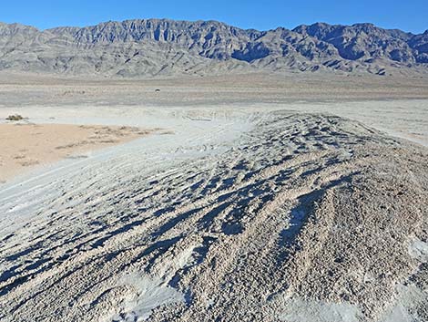 Desert Dry Lake Corral