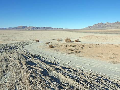 Desert Dry Lake Corral