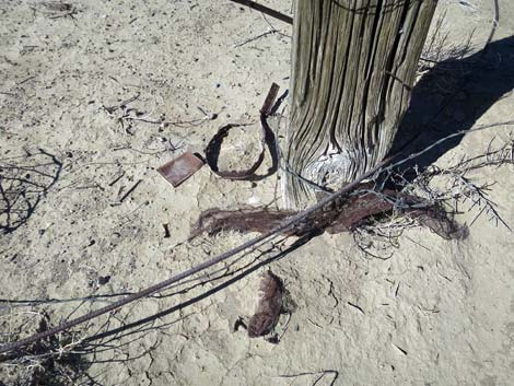 Desert Dry Lake Well