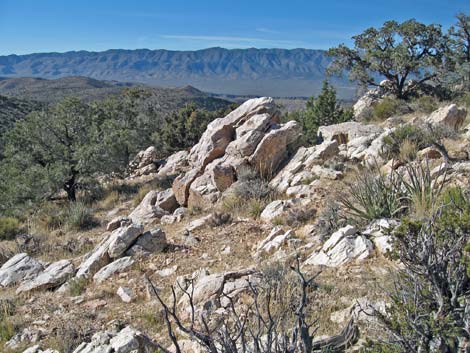 Quartzite Mountain