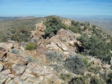 Quartzite Mountain