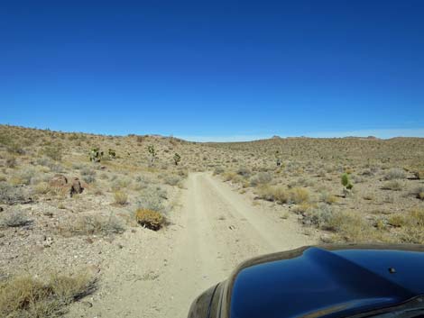 Alamo-Badger Connector Road