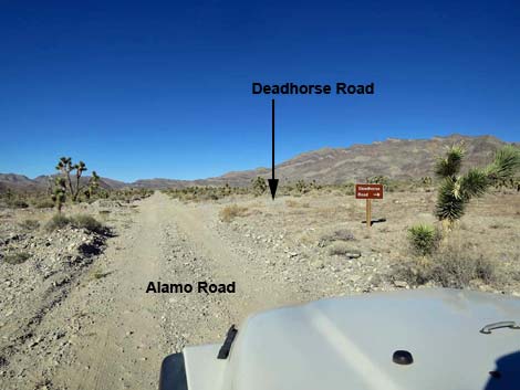 Deadhorse Road