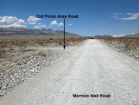 Mormon Well Road