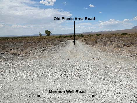 Mormon Well Road