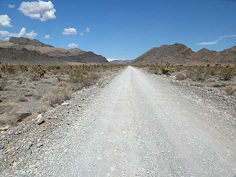 Mormon Well Road