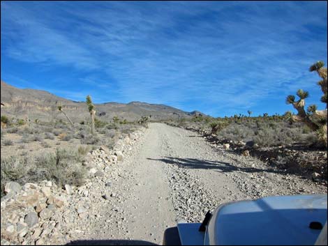 Mormon Well Road