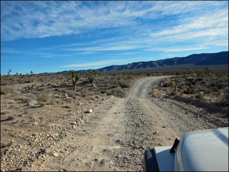 Mormon Well Road