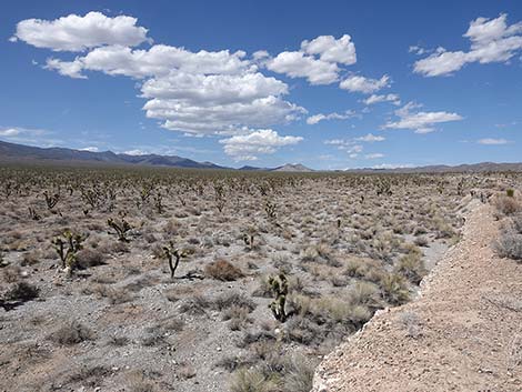 Mormon Well Road